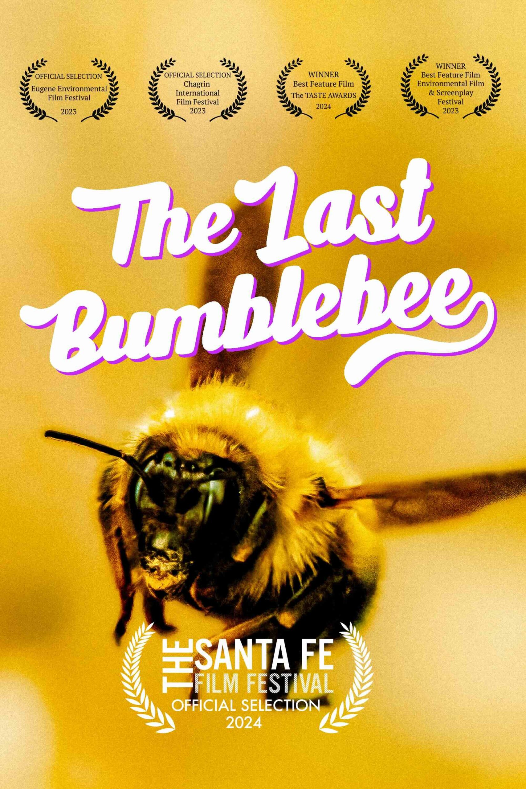 The Last Bumblebee The Santa Fe Film Festival